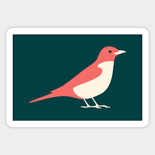 American Robin (Red) Magnet